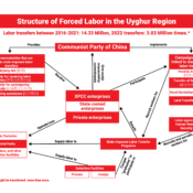 The Structure of Forced Labor Programs in the Uyghur Region